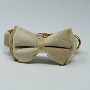 Dog Collar + Bow | L  | Velvet | Luxe | Lt Beige | New